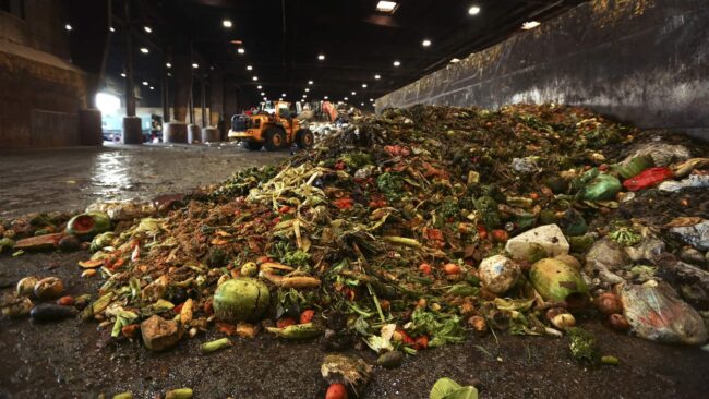 Bioodpad ze supermarketů je ekologicky recyklován na zelenou energii Bioodpad ze supermarketů je ekologicky recyklován na zelenou energii