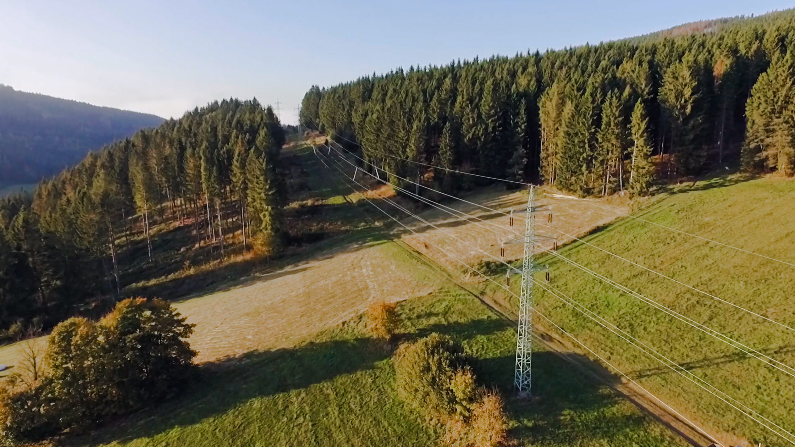 Memorandum ČEZ s Lesy ČR urychlí energetické stavby na státních pozemcích